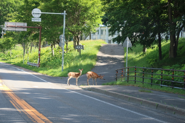 �w�_������