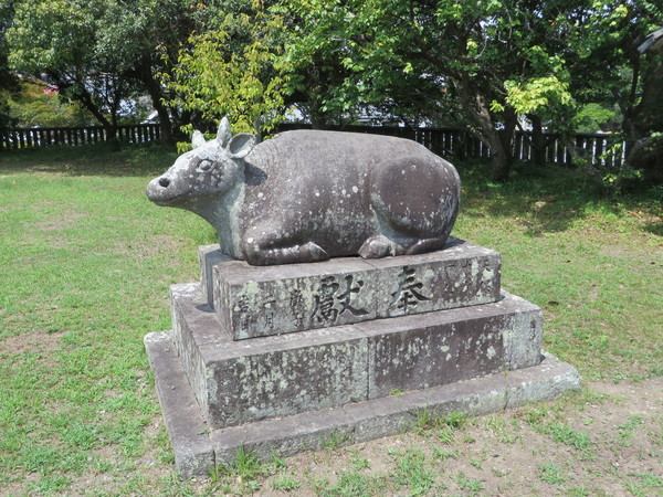 �n�z�V����