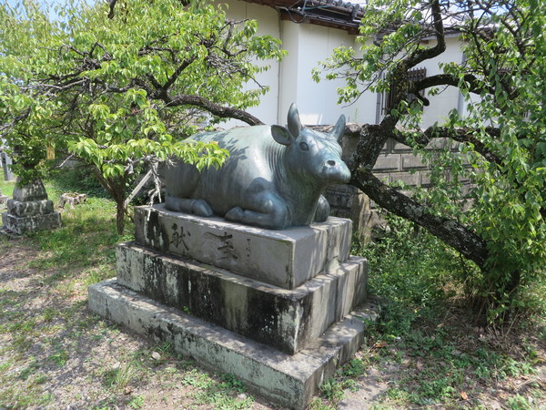 �n�z�V����