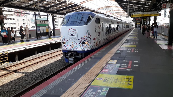 �i�q�V���{�w