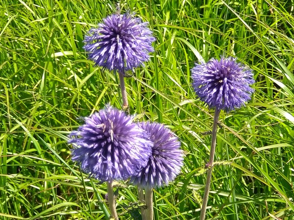 �^�f������