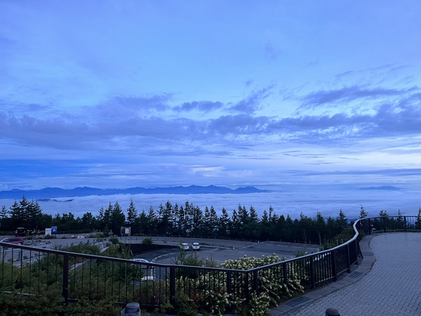 �x�m�X�o�����C��