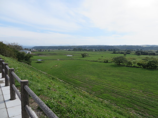 �V���T���u���b�h���