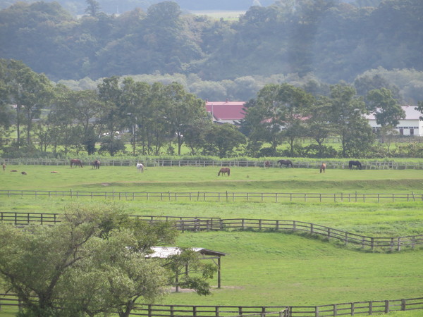 �V���T���u���b�h���