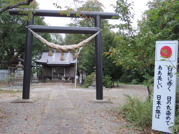 �����_��