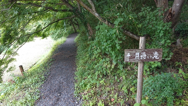 ���҂̑���݂���