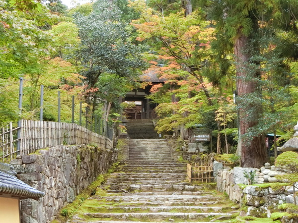 �������@�\�Q��