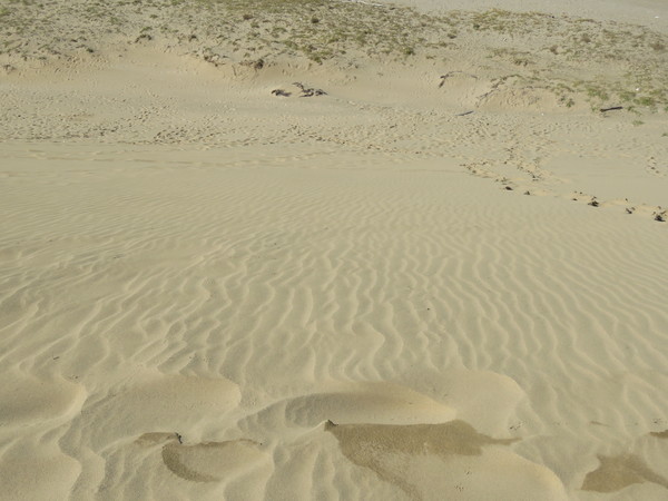 �Ƃ��Ƃ�ό��K�C�h�Z���^�[