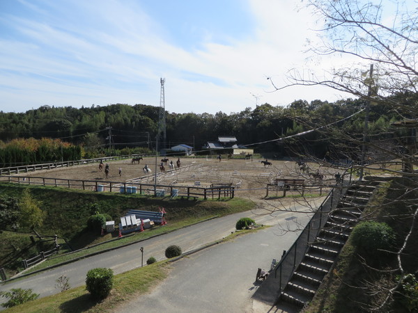 ��n�N���u �N���C�����X��