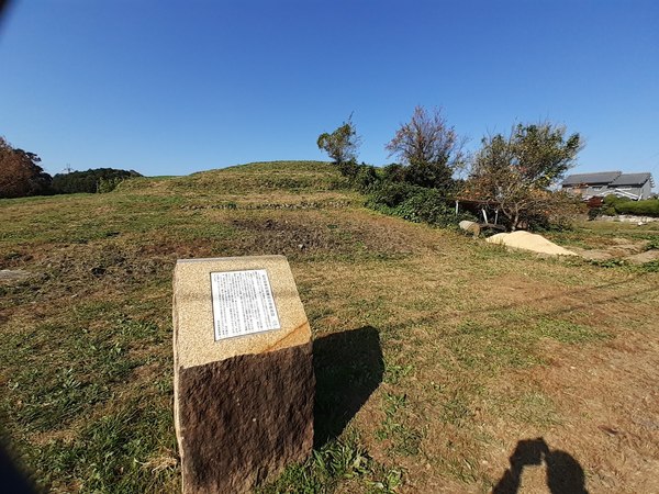 �z�P�m�R�Õ�