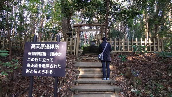 �����ӂ�_��