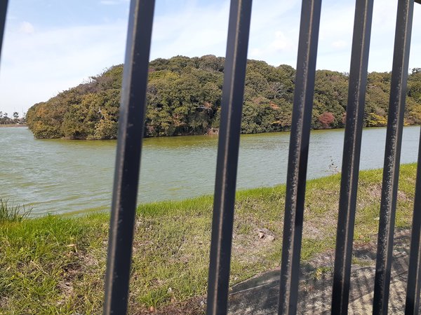 �����V�c�ˌÕ��i�~�T���U�C�Õ��E�ΒÃ��u�Õ��E�S�㒹�ˎR�Õ��j