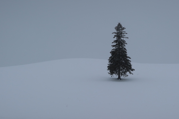 �p�m���}���[�h