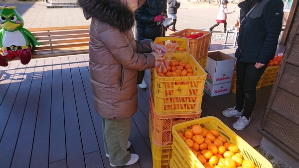 ���̉w�ɓ��Q�[�g�E�F�C����