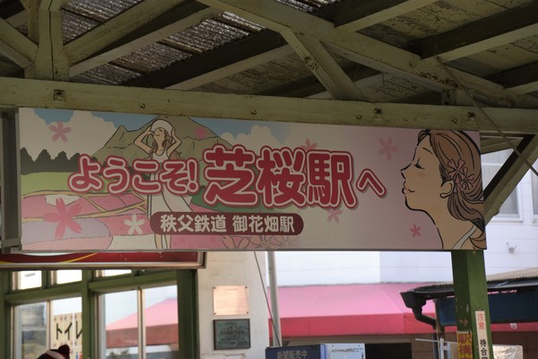 �����S����Ԕ��w