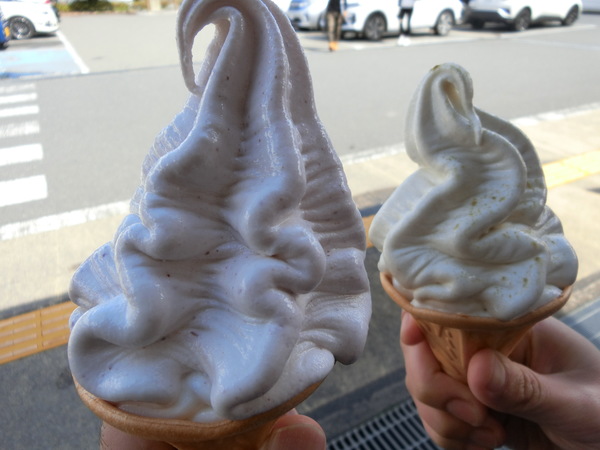 ���̉w �E�b�f�B�[���k