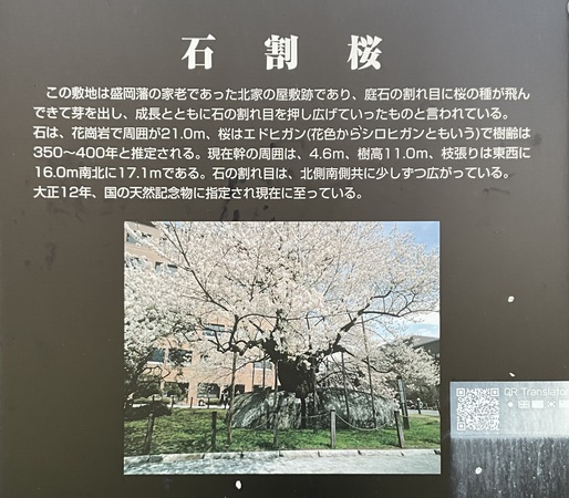 �Ί���