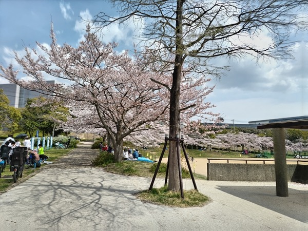 �w����������