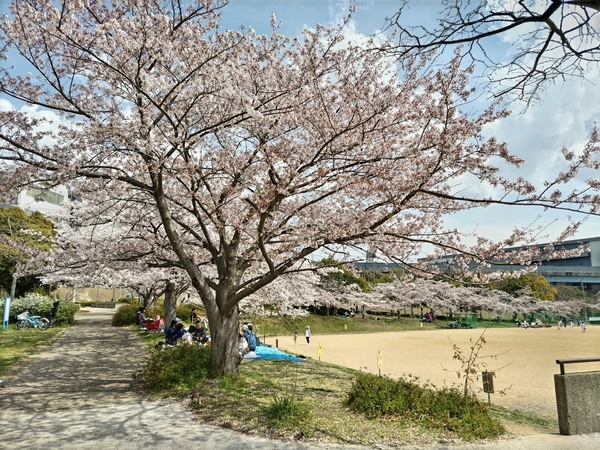 �w����������