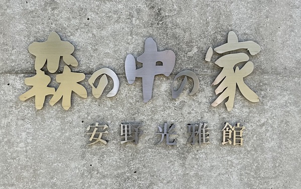 �a�v�B�m�X�@�X�̒��̉Ɓ@��������