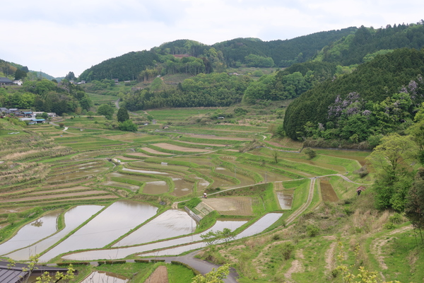 ���璬�E�嚸�a���̒I�c