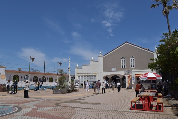 ���q�d�C�S�� ���i�w