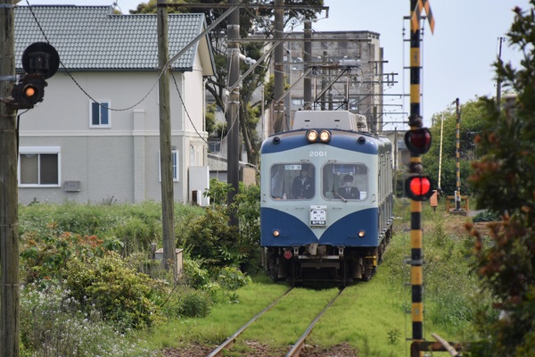 ���q�d�C�S�� ���i�w