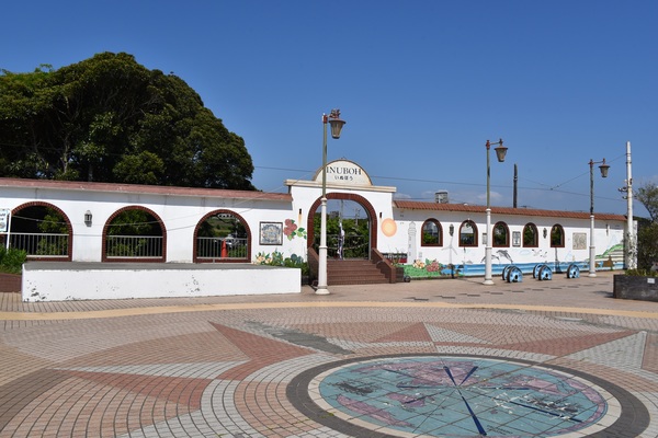 ���q�d�C�S�� ���i�w