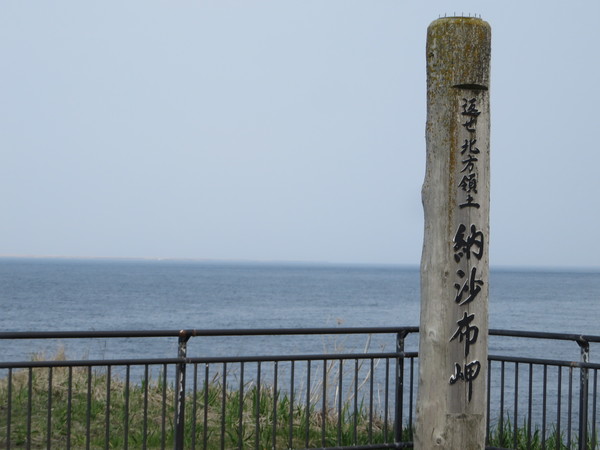 �[���z��