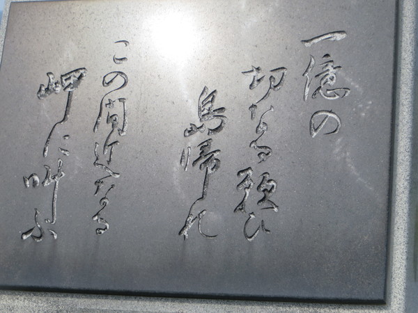 �[���z��