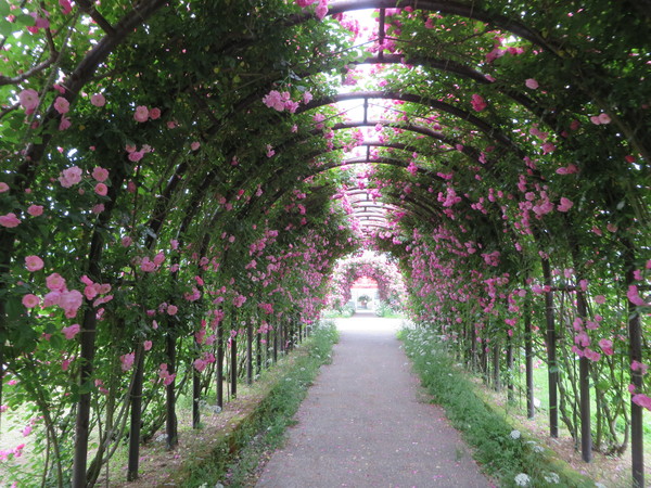 ASO MILK FACTORYi͂Ȉhj