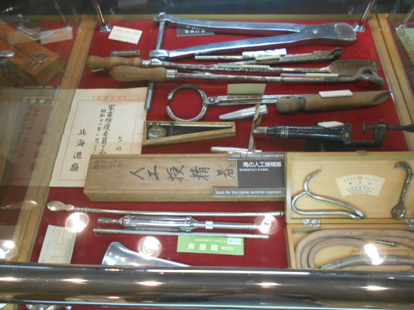 �n�̎�����