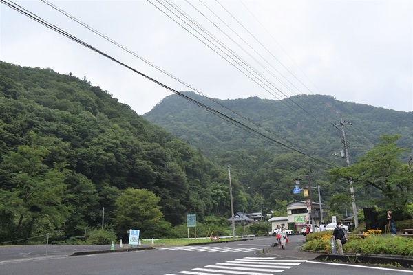 �I�v�̏h�@�����