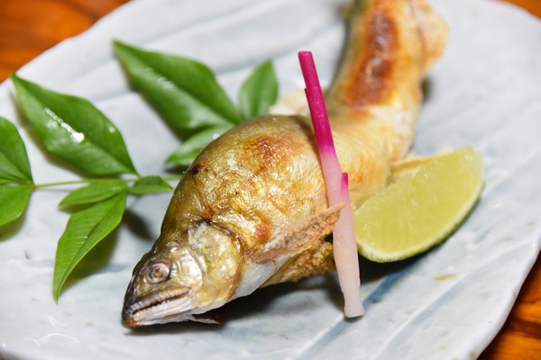 �I�v�̏h�@�����