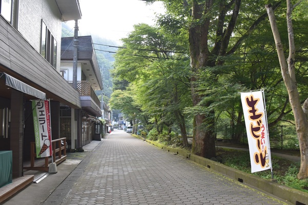 �I�v�̏h�@�����