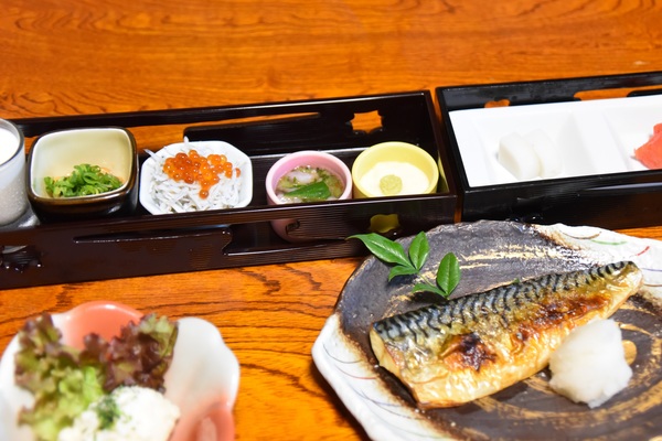 �I�v�̏h�@�����