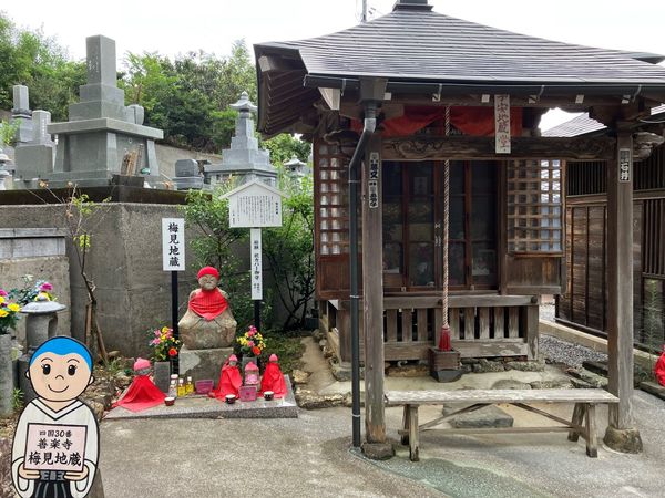 �l����O�\�� �P�y��