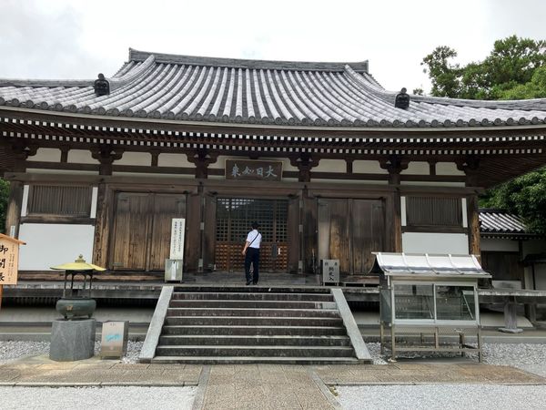 ������@�{��