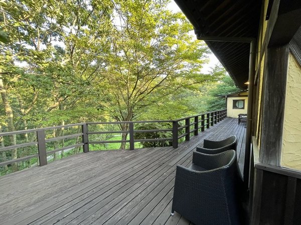 �h�[�@�Ő��V��