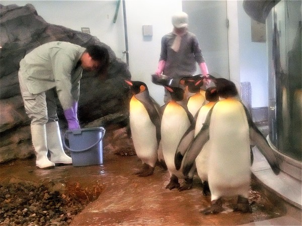 ���R������