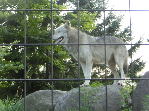 ���R������