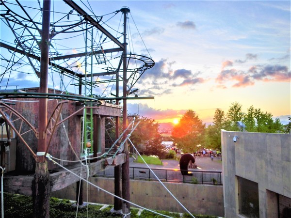 ���R������