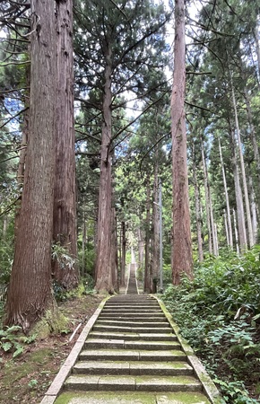 ���R�_��