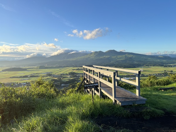 �c�q�R�W�]���q����ӂˎV���r