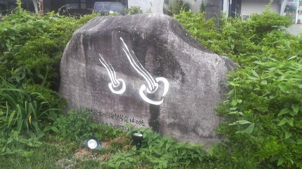 ���{����}�[�N���˂̔�