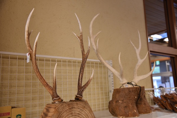 ������@���̋�