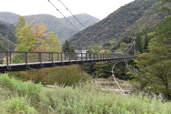 ������@���̋�