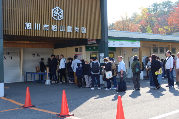 ���R������