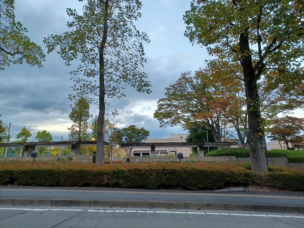 �{�錧���p��