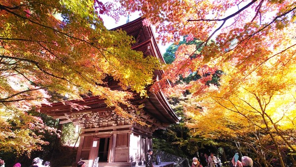 �����֎��@�O�d��